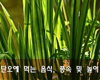 단오 유래, 단오에 먹는 음식, 단오의 풍속과 놀이 알아보기
