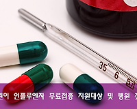 어린이 인플루엔자 무료접종 지원대상, 지원기간 및 지정의료기관 찾기