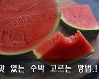 맛있는 수박 고르는 방법, 잘 익은 수박 고르는 방법 알아보기