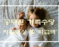 공무원 가족수당 지급대상, 지급액 및 지급사례 등 완벽정리 (최신판)