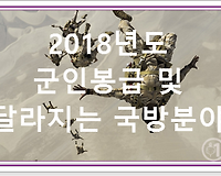 2018 군인(하사, 중사, 상사, 원사 등) 봉급 및 달라지는 국방분야 총정리