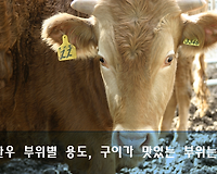 한우 부위별 용도 총정리, 구이가 맛있는 부위는?