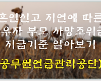 혼인신고 지연에 따른 배우자 부모 사망조위금 지급 알아보기