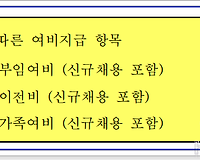 공무원 근무지 변경에 따른 여비 지급 종류 (부임여비, 이전비, 가족여비 등) 알아보기