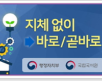 올바른 공공언어 사용하기(지체 없이 vs 바로)