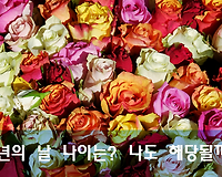성년의 날 나이, 나도 해당될까? 그리고 선물의 의미는?