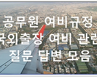 공무원 국외출장 여비 (운임비, 일비, 식비, 숙박비, 준비금) 헷갈리는 질문 답변 모음