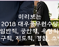 미리보는 2018 대우공무원수당(일반직, 공안직, 우정직, 연구직, 지도직, 경찰, 소방)