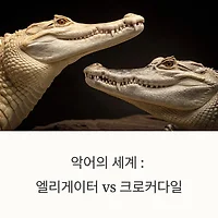 thumbnail6