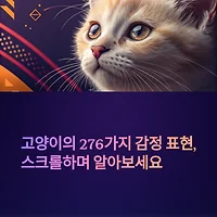 thumbnail6
