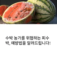 thumbnail6