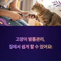 thumbnail6