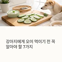 thumbnail6