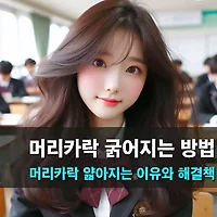 프로필사진