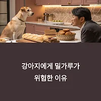 thumbnail6