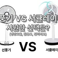 thumbnail6