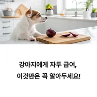 thumbnail6