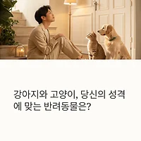 thumbnail6