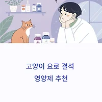 thumbnail6