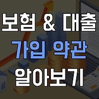 보험 약관 대출의 모든 것: 혜택과 주의사항