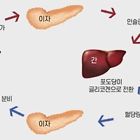 저혈당 증상과 원인: 알아야 할 수치와 대처 방법