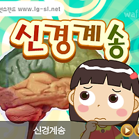 와플래시 게임 아카이브