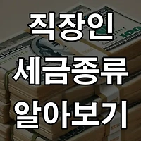 모르면 손해! 알아두면 돈이 되는 직장인 세금 종류