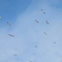 항공권 가격 비교 사이트 추천 | 저렴한 항공권 찾는 법