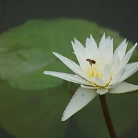 셀프 인테리어로 집 안 분위기 바꾸는 소품 활용법