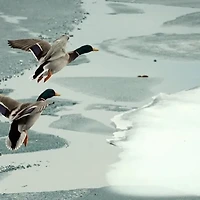 감기 초기 증상과 대처법 | 빠르게 회복하는 방법 알아보기