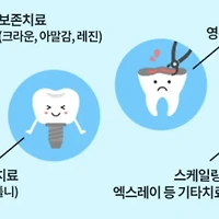 치아보험은 필요할까? 보장 범위와 가입 팁 총정리