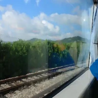 width=