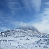 width=