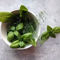 실패 없는 시금치나물 레시피! 부드럽게 만드는 법