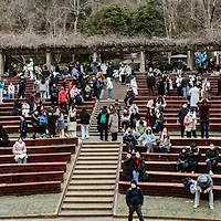 사회복지법인 설립 조건과 절차 알아보기 | 법적 기준 및 운영방법