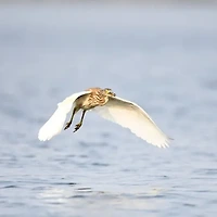 항공권 최저가 비교 꿀팁! 저렴하게 비행기표 예약하기