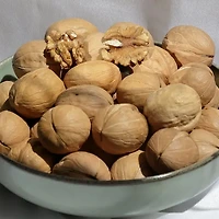 대법원 전자소송 시스템 완전정복, 단계별 신청 방법