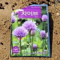 썸네일 2
