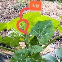 썸네일 2