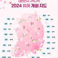 벚꽃 개화 시기 2024년 피는 시기는 언제일까?