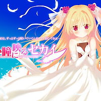 ヤ ク ソ ク ラブハーレム