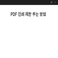 PDF 인쇄 제한 풀기 간단한 방법