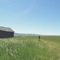 임신을 위한 힐링