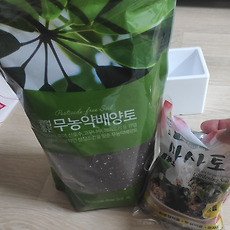 카테고리이미지