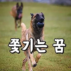 article_rep_thumbnail