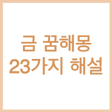 목록 썸네일 이미지