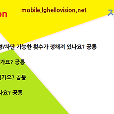 카테고리이미지