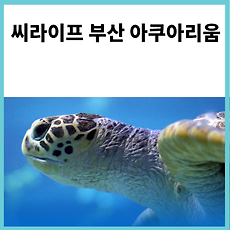 카테고리이미지