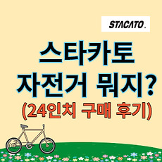 스킨이미지4