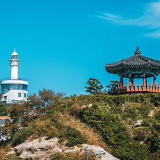 카테고리이미지